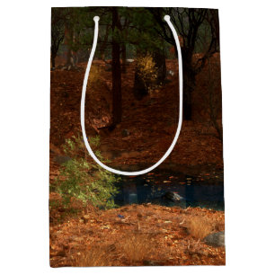Moyen L'après-midi de l'année Sac cadeau