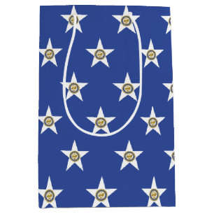 Moyen Sac à cadeau avec le drapeau de Houston, Texas, US