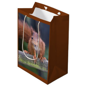 Moyen Sac cadeau bébé rouge