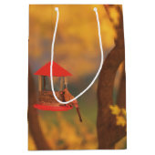 Moyen Sac cadeau du Gardien d'automne (Devant)