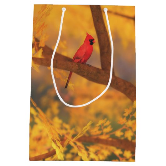 Moyen Sac cadeau du Gardien d'automne (Dos)