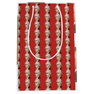 Moyen Sac de cadeau d'Alexander Hamilton