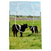 Moyen Vache Galloway, Sac Cadeau (Devant)