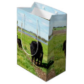 Moyen Vache Galloway, Sac Cadeau (Dos Angle)