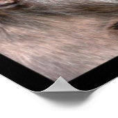 Mozaïekfoto's van apen poster (Hoek)