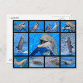 Mozaïekfoto's van dolfijnen briefkaart (Voorkant / Achterkant)