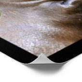 Mozaïekfoto's van otters poster (Hoek)