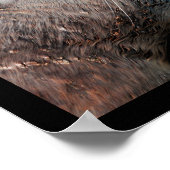 Mozaïekfoto's van zee leeuwen poster (Hoek)