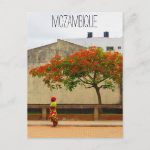 mozambique rode boom briefkaart