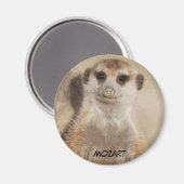 Mozart Magnet Magneet (Voorkant / Achterkant)