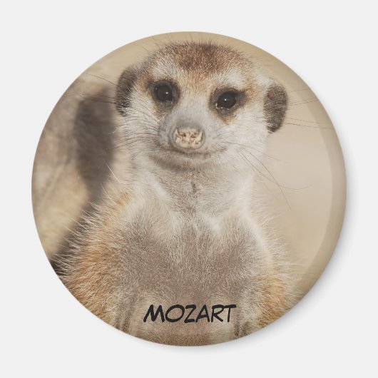 Mozart Magnet Magneet (Voorkant)