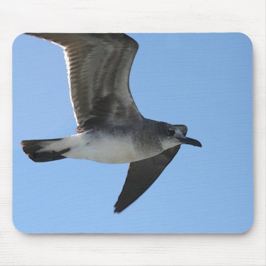 MP 6482 Gull 1 WC Muismat (Voorkant)