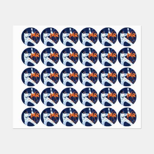 Mr 365 Cricket Stickers (Vel)