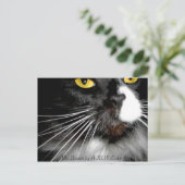 "Mr.Bootee" Briefkaart (Staand voorkant)