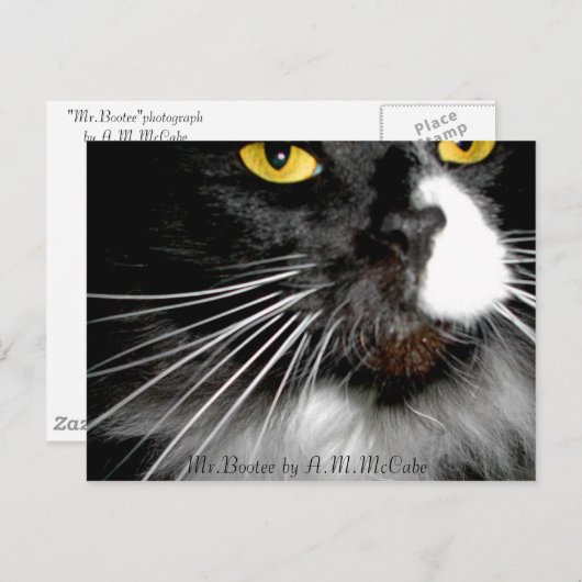 "Mr.Bootee" Briefkaart (Voorkant / Achterkant)