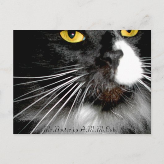 "Mr.Bootee" Briefkaart (Voorkant)
