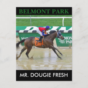 Mr. Dougie Fresh Briefkaart