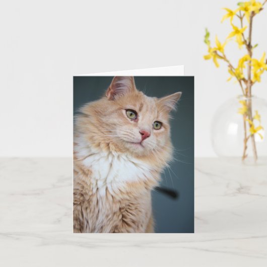 Mr, Handsome Kaart (Gele Bloem)