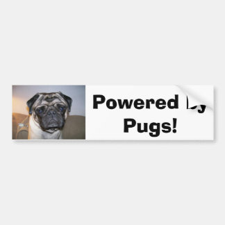 Mr. nibbles, Powered by Pugs! Bumpersticker
