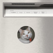 Mr Peabody. Magneet (Insitu (Vaatwasser))