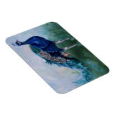 Mr Peacock Magneet (Rechterzijde)