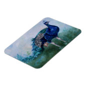 Mr Peacock Magneet (Linkerzijde)