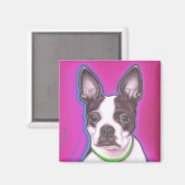 Mr Pickles de magneet (Voorkant / Achterkant)