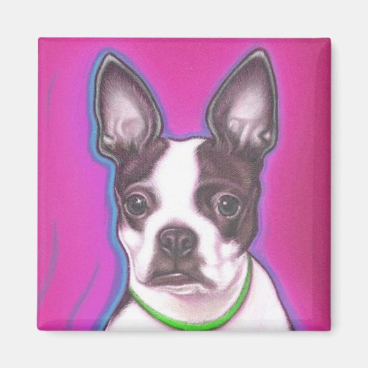 Mr Pickles de magneet (Voorkant)