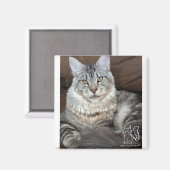 Mr. Puppy-Sokken magneet #4 (Voorkant / Achterkant)