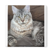 Mr. Puppy-Sokken magneet #4