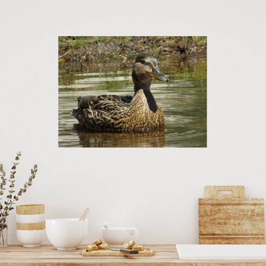 Mr. Quack Poster (Keuken)