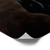 "Mr. Skullhead' van Andrew Gettler Poster (Hoek)