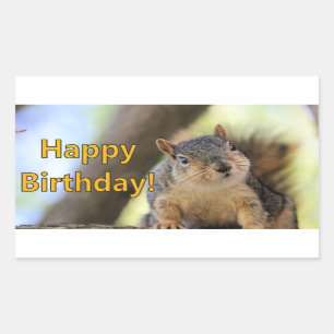 Mr. Squirrel die een Happy Birthday wenst Rechthoekige Sticker