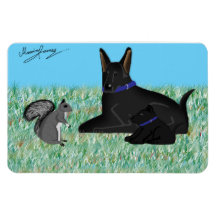 Mr Squirrel - Squirless Conversation