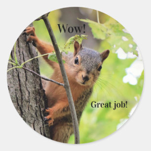 Mr Squirrel's geweldige job student Stickers