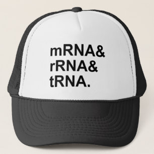 mRNA rRNA tRNA Soorten RNA Trucker Pet