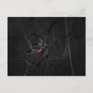 Mrs Black Briefkaart
