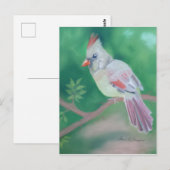 Mrs Cardinaal Briefkaart (Voorkant / Achterkant)