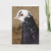 Mrs Pigeon Kaart (Voorkant)