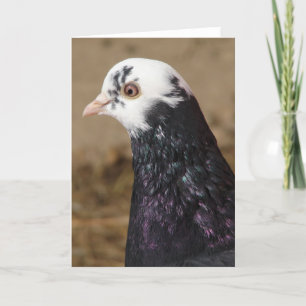 Mrs Pigeon Kaart