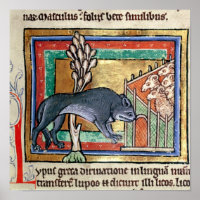MS Roy A wolf buiten een schaap