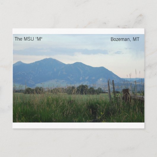 MSU "M"-briefkaart Briefkaart (Voorkant)
