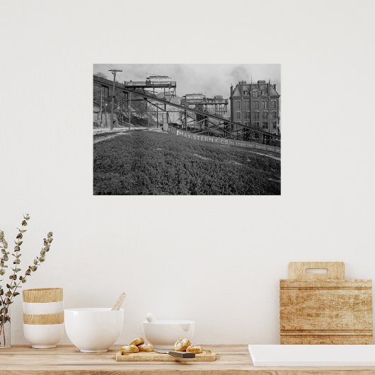 Mt. Adams Inline Poster (Keuken)