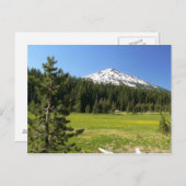 Mt Bachelor & Firs Briefkaart (Voorkant / Achterkant)