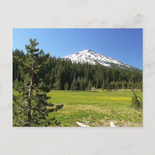 Mt Bachelor & Firs Briefkaart (Voorkant)