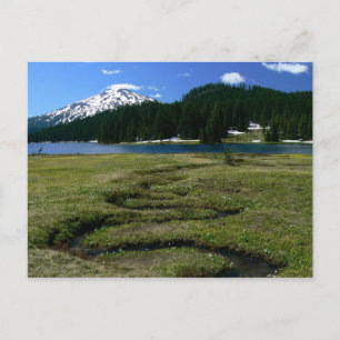 Mt Bachelor & Snake Creek Briefkaart
