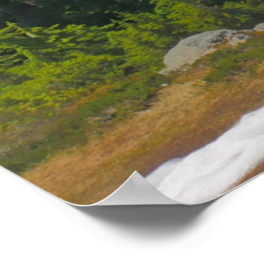 Mt. Baker, Forest en Alpine Lake Photo Poster (Hoek)