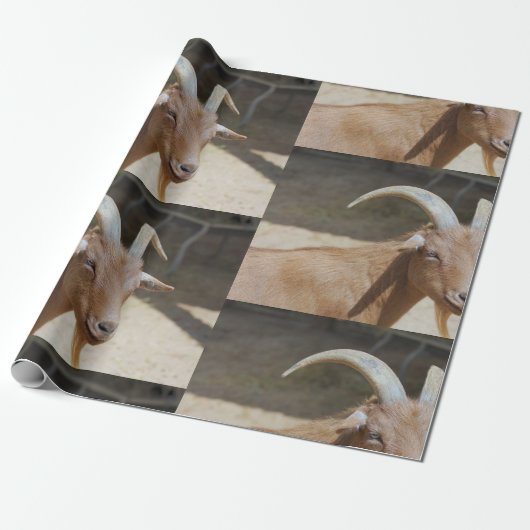 Mt.Bill Cadeaupapier (Uitgerold)