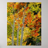 Mt. Charleston NV Automne Aspen 16"x 20" Poster (Devant)