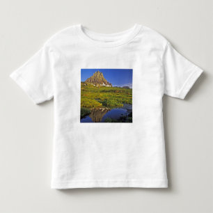 Mt Clements weerspiegelt zich in een klein bassin  Kinder Shirts